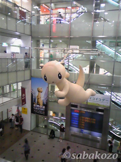 空飛ぶフェレット(西鉄福岡天神駅大画面前)